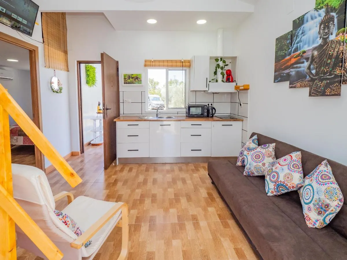 Cubo'S Greenlife Loft Total Privacy Pool 阿尔豪林格朗德 度假居