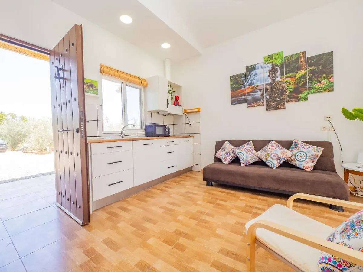 Cubo'S Greenlife Loft Total Privacy Pool 阿尔豪林格朗德