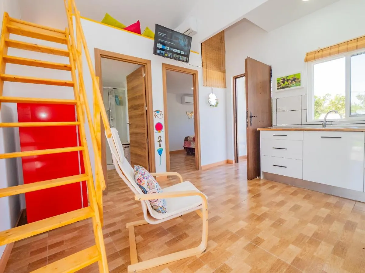 度假居 Cubo'S Greenlife Loft Total Privacy Pool 阿尔豪林格朗德