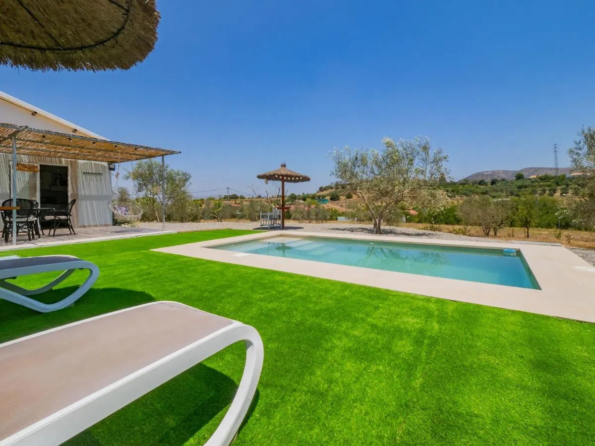 Cubo'S Greenlife Loft Total Privacy Pool 阿尔豪林格朗德 度假居