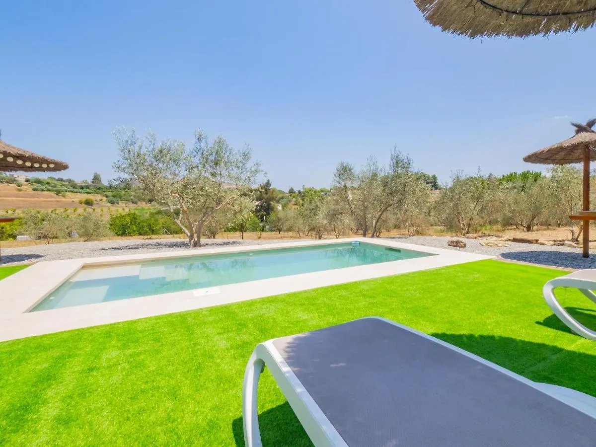 Cubo'S Greenlife Loft Total Privacy Pool 阿尔豪林格朗德 度假居