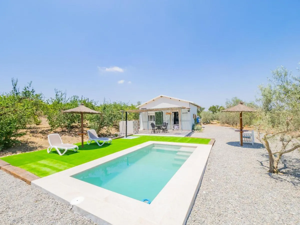 Nyaraló Cubo'S Greenlife Loft Total Privacy Pool Alhaurín el Grande Spanyolország